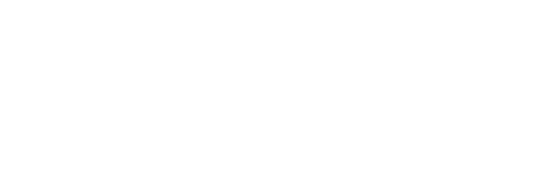 eHybridshop